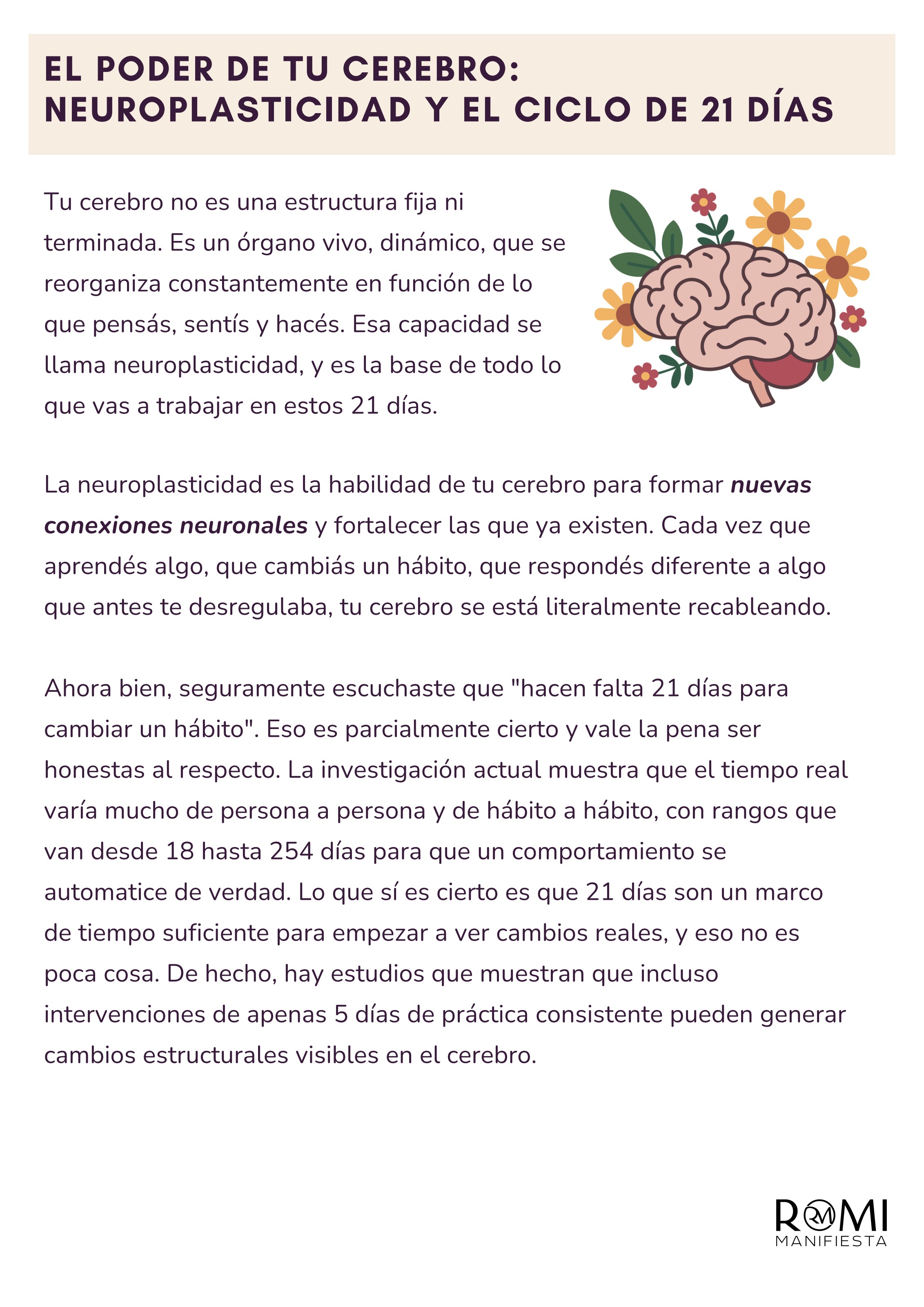 Neuroplasticidad
